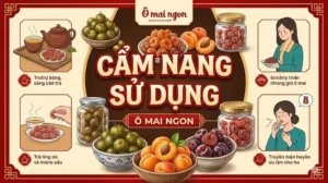 Cẩm Nang Sử Dụng Ô Mai Ngon: Bí Quyết Thưởng Thức Và Bảo Quản Trọn Vị Truyền Thống