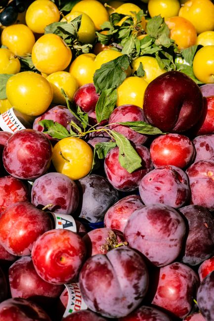 Bí quyết chọn mua và làm mận hậu xào Hà Nội cực ngon tại nhà
